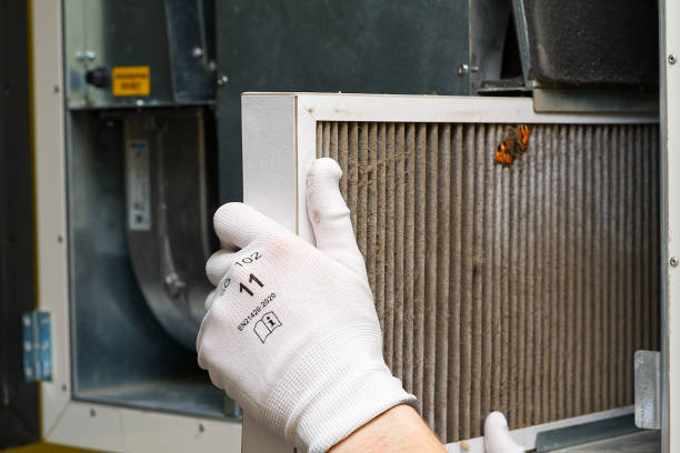 Best Professional Duct Cleaning Services  in Colfax, IA