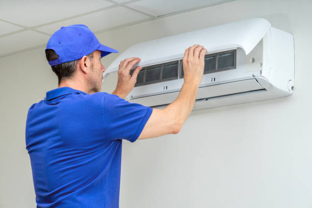Best Home Air Vent Cleaning  in Colfax, IA